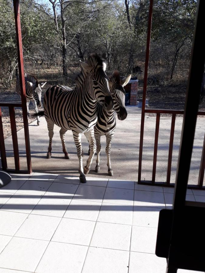 Wild Escape Villa Marloth Park Exterior foto