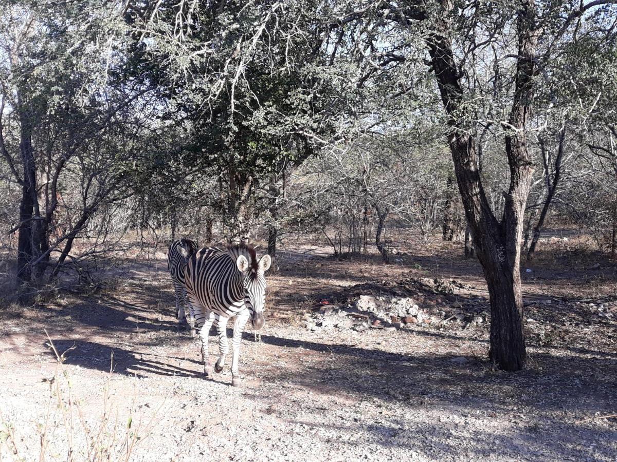 Wild Escape Villa Marloth Park Exterior foto
