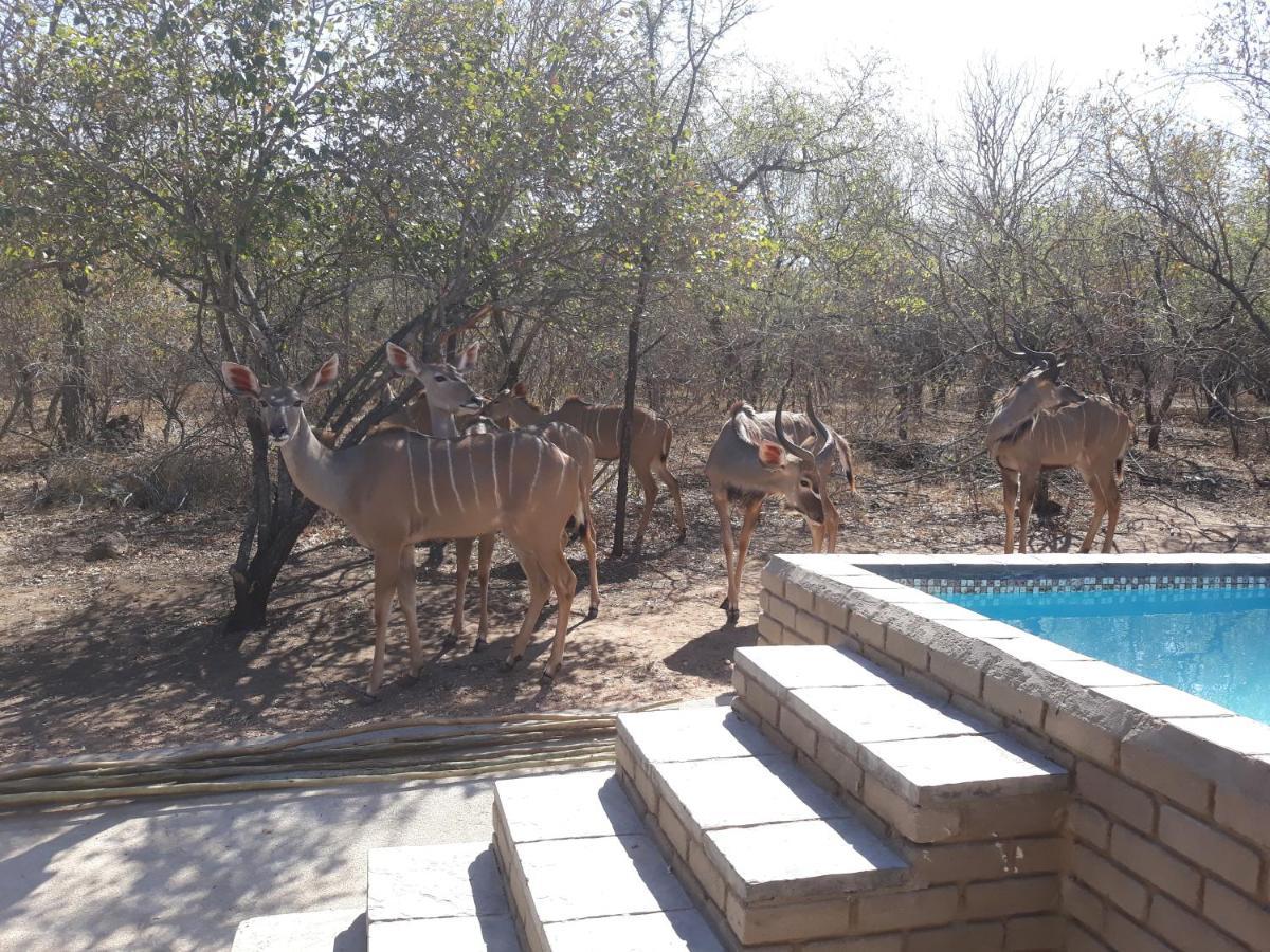 Wild Escape Villa Marloth Park Exterior foto
