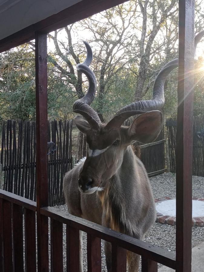 Wild Escape Villa Marloth Park Exterior foto